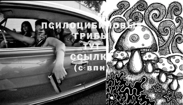 дурь Волосово
