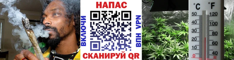 наркошоп  Кандалакша  Бошки Шишки план 
